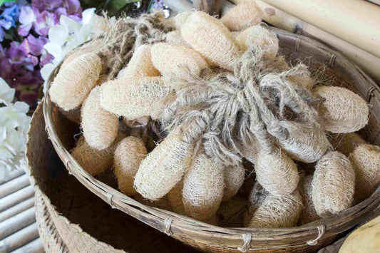 Beautiful basket of whole loofahs with purple flowers