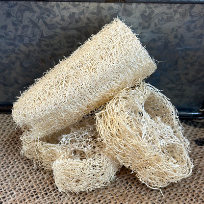 Natural Loofah Sponge