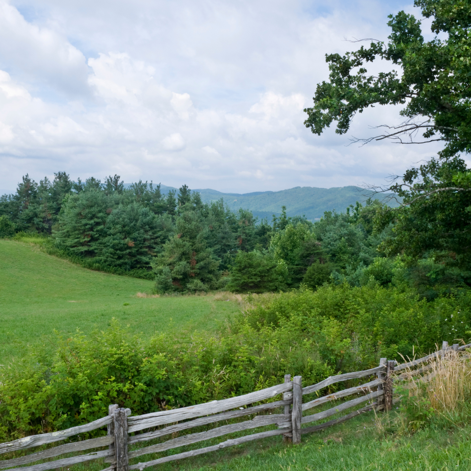 Green Mountain Backdrop