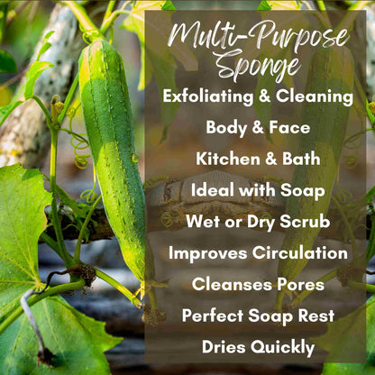 List of Many Purposes for a Natural Loofah Sponge, exfoliating, cleaning, body and face, kitchen and bath, ideal with soap, wet or dry, circulation, pores, soap rest, dries quickly