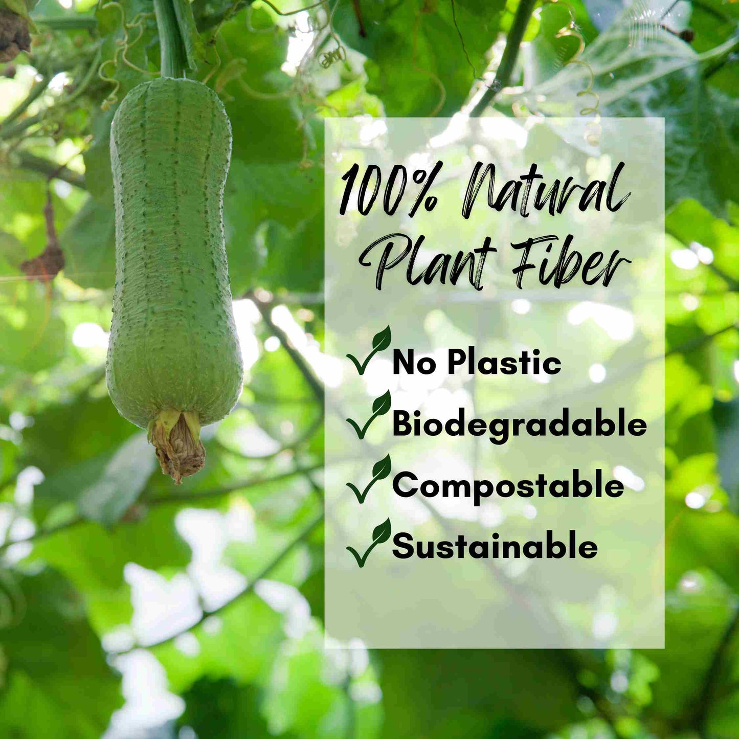 Natural Loofah Plant Fiber benefits, no plastic, biodegradable, compostable, sustainable