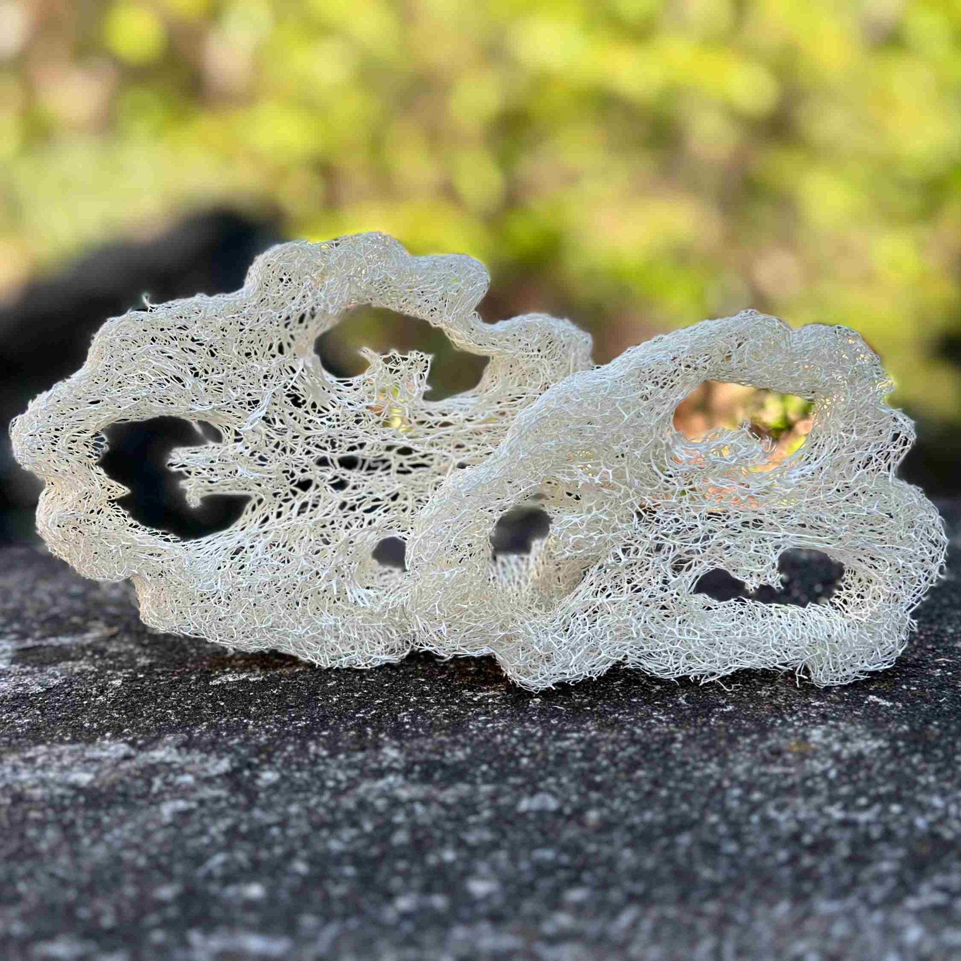 Two different sizes of loofahs on a stone bench